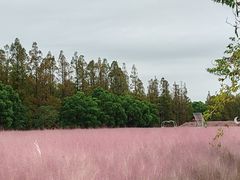 -嘉北郊野公园