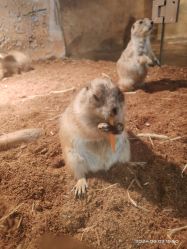 -Zoolung Zoolung动物主题公园(海信广场店)