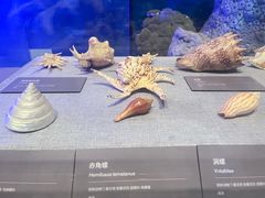 -中国（海南）南海博物馆