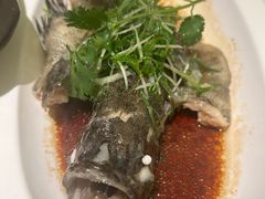-顺峰(农展馆店)