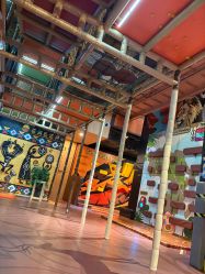 -卡通尼·Safari非洲探索乐园·生日会(金桥国际商业广场店)