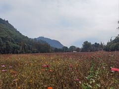 -贵阳市花溪国家城市湿地公园