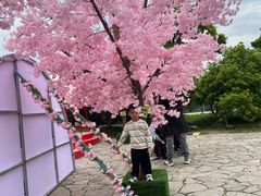-苏州太湖国家湿地公园