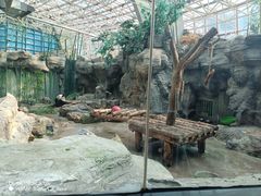 -北京动物园