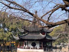 -西园戒幢律寺