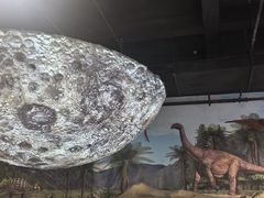 -辽宁古生物博物馆
