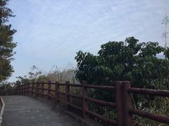 -羚羊峡古栈道森林公园