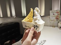 -野人先生现做冰淇淋(北京王府井东方新天地店)