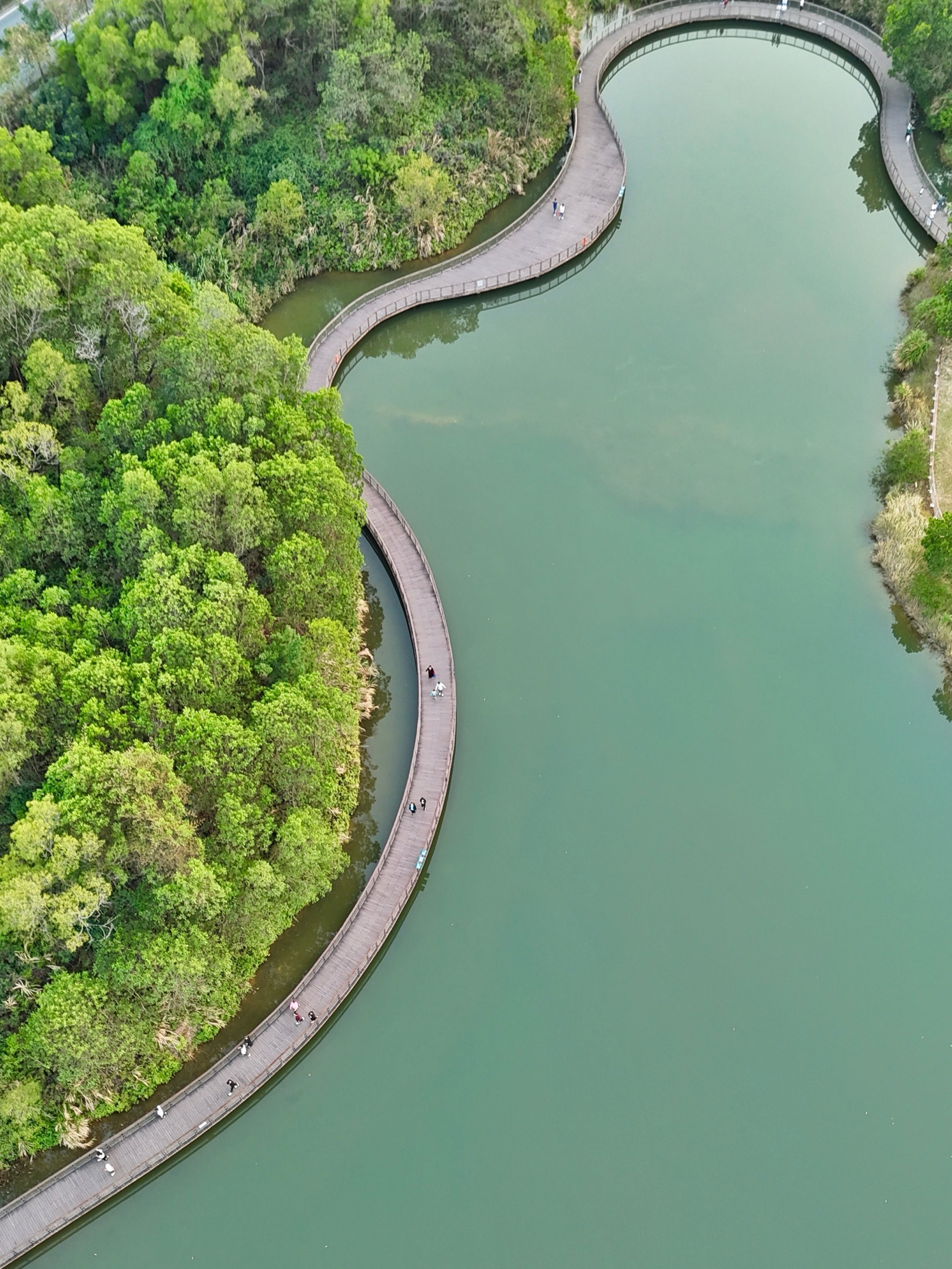 在深圳‼️又发现一个超舒服的地方‼️人少景美