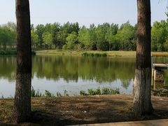 -东郊湿地公园