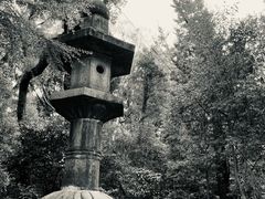 -名古屋城