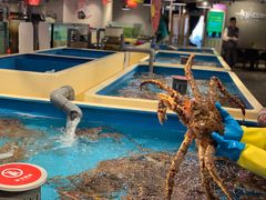 -日进一片海.生腌海鲜火锅.宵夜烧烤(三里屯总店)