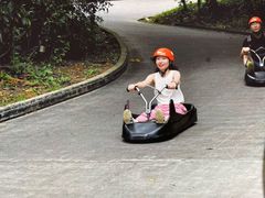 -圣淘沙天际线斜坡滑车