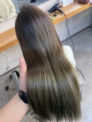 -蚂蚁造型沙龙
