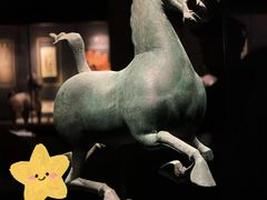 -甘肃省博物馆