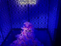 -MOSSO·Liveshow(M3香港广场店)