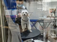 -Oh My Dog宠物沙龙(伊珊娜皮毛护理店)