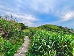 -阿军排档·烧烤