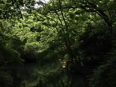 -钱王祠