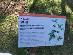 -中国科学院西双版纳热带植物园