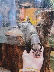 -Zoolung Zoolung动物主题公园(海信广场店)