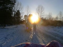 android_upload_pic-北极村旅游风景区