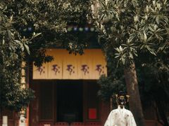 -西安大兴善寺