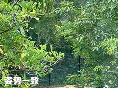 -深圳野生动物园