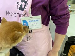 -暖阳宠物医院·犬猫康复中心·骨科