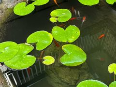 -31号公馆(黄兴广场白果园店)