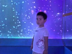 -太平洋海底世界