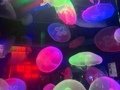 -太平洋海底世界