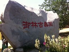 -御林古桑园