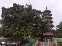 -乌山风景区