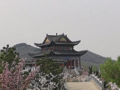-樱花山风景区
