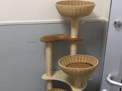 -谐和益家动物医院·免疫绝育·血液透析·宠保定点医院(高新伊藤分院)