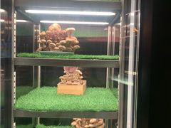 -捞王锅物料理(金华义乌之心店)