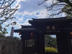 -江心屿景区