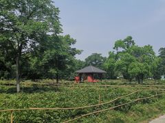 -合肥三国新城遗址公园