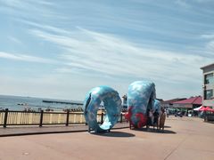 -南戴河国际娱乐中心