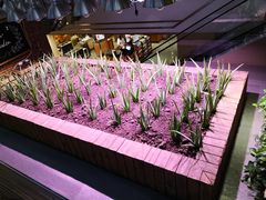 -远大购物中心(南岗店)