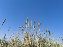 -良渚古城遗址公园
