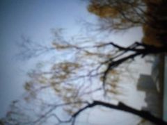 -天鹅湖体育公园