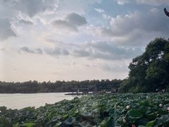 -湖畔居茶楼(湖滨店)