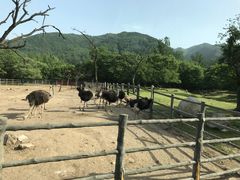 -西安秦岭野生动物园