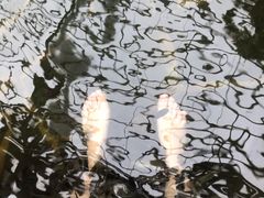 -龙达温泉生态城
