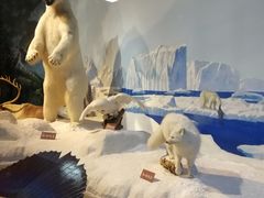 -陕西自然博物馆