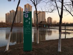 景点-前关湿地公园