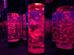 -成都浩海立方海洋公园