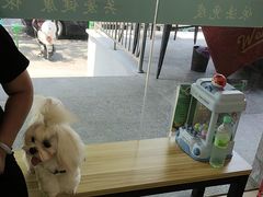 -艾贝尔宠物医院 ·中兽医·宠保定点(北门桥店)
